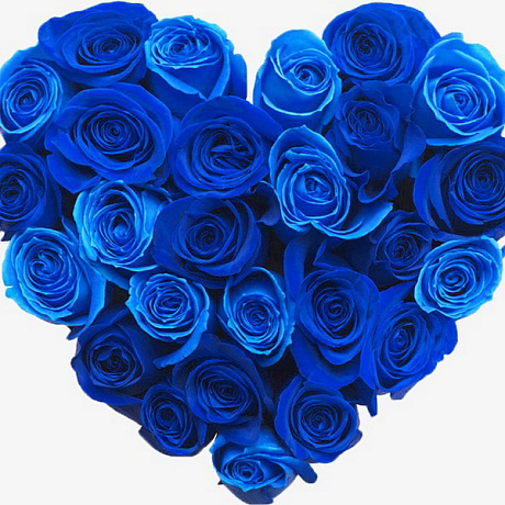 Сердце из 25 синих роз - Фото 1