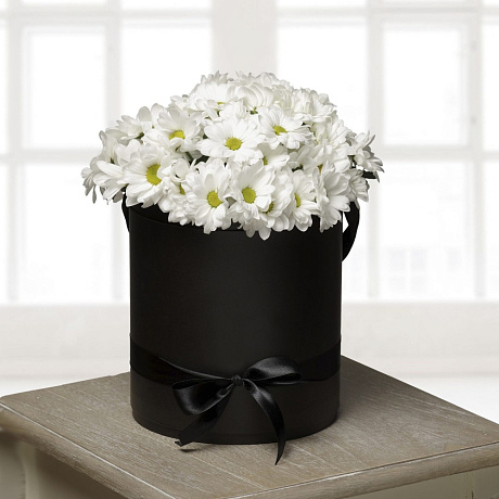 7 Белых хризантем в черной шляпной коробке №96 - Фото 1