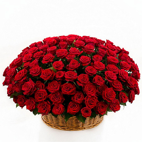 Букет из 101 красная роза в корзине №160 - Фото 1