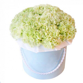 31 зеленая гвоздика в шляпной коробке