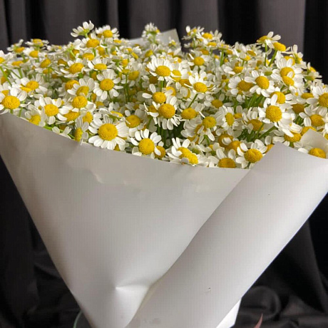 Букет Танацетума №161 - Фото 1