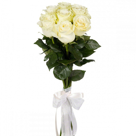 Букет из 7 белых роз под ленту - Фото 1
