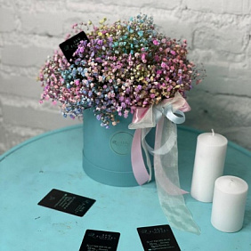 Гипсофила в шляпной коробке в ассортименте