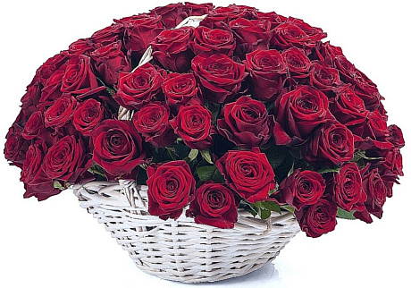 Букет из 101 красная роза в корзине №161 - Фото 1