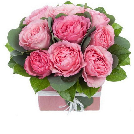 Букет из 31 пионовидной розы Баронесса и Мария тереза - Фото 1