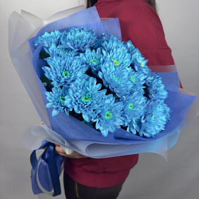 Букет хризантем  « Голубая Ромашка»
