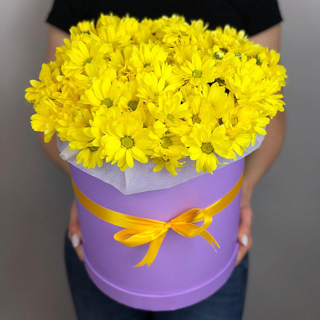 7 Желтых хризантем в сиреневой шляпной коробке №65 - Фото 1