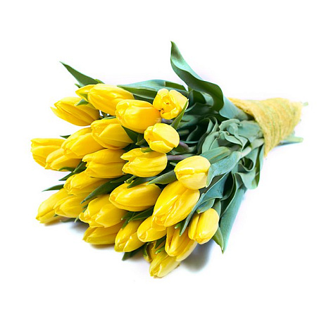 31 желтый тюльпан - Фото 1