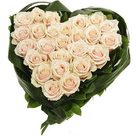 Букет из 25 кремовых роз в виде сердца - Фото 1