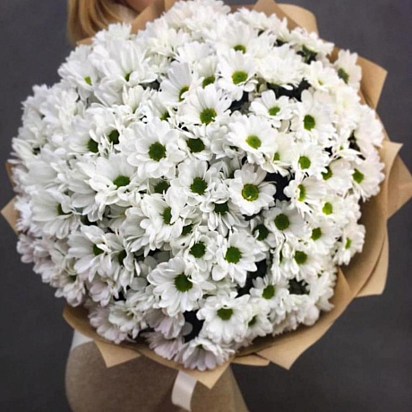 Ромашка №167 - Фото 1