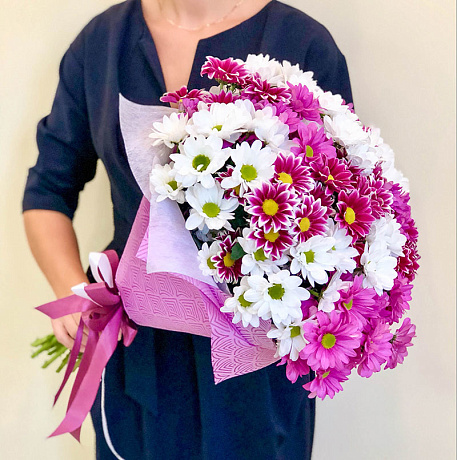 Хризантема кустовая разноцветная 11 - Фото 1