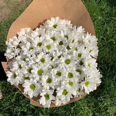 Букет Ромашки №174 - Фото 1