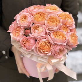 11 персиковых пионовидных роз Премиум в коробке