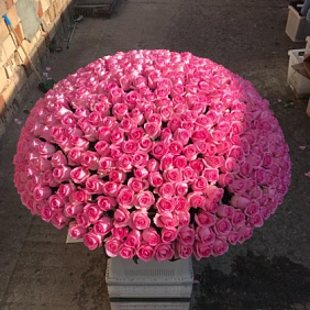 Букет цветов "Розовое танго" №164