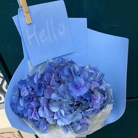 Когда нет моря- есть гортензия 