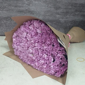 Хризантема кустовая №162