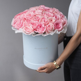 Розы Пинк Охара в голубой коробке XL