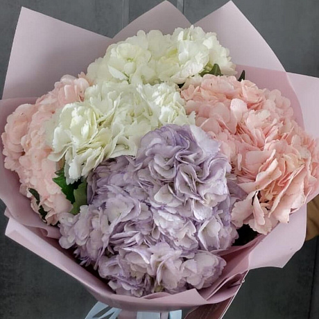 Букет из 5 гортензий №165 - Фото 1