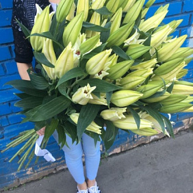 Лилия белая №160