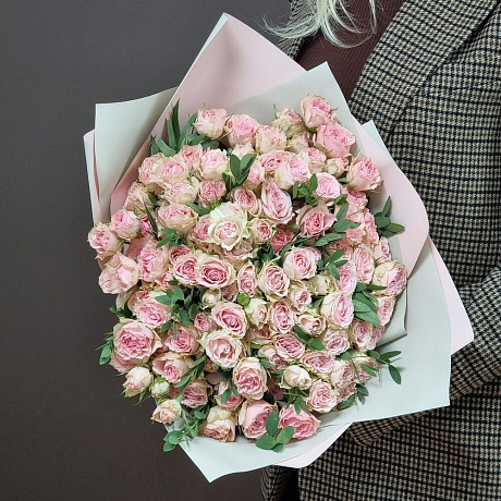Роза Бэйби Фолис - Фото 1