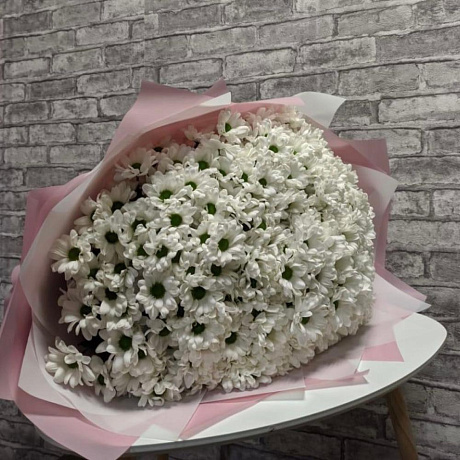 51 кустовая хризантема - Фото 1