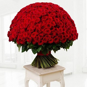 251 красная роза