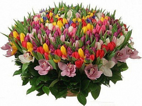 Огромная корзина из тюльпанов, орхидей и ирисов