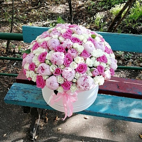 Пионы в коробке №163