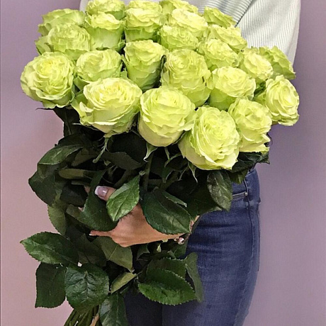 Букет из 25 роз Эквадор 50-60 см под атласную ленту - Фото 1