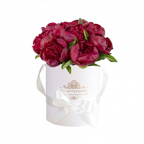 9 бордовых пионов в маленькой белой шляпной коробке №774