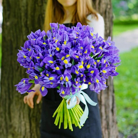 Синий ирис №160