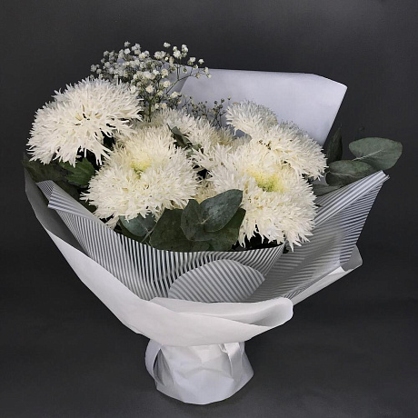 Белые сортовые хризантемы - Фото 1