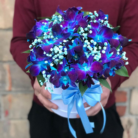 Орхидея в коробке №166 - Фото 1