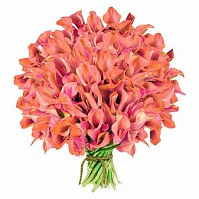 Букет из 101 красной каллы