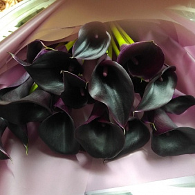 Букет из 20 чернильных калл Букет темных калл Каллы