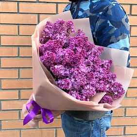 Букет душистая сирень