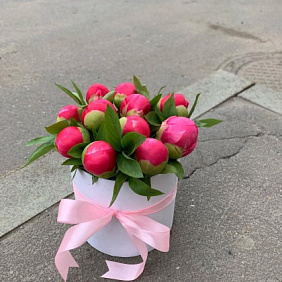 Пионы в коробке №169