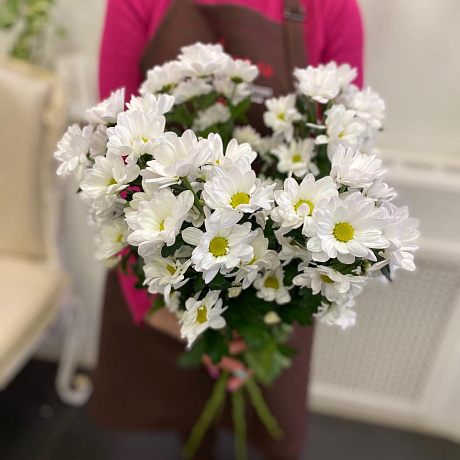 Букет цветов Хризантемы - Ромашки - Фото 1