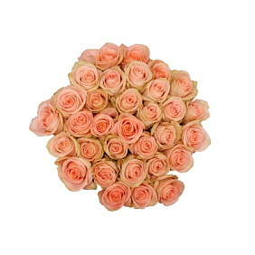 35 кремовых роз в большой розовой коробке шкатулке с макарунсами №471