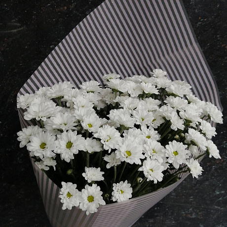 Букет цветов Ромашки в рубашке - Фото 1