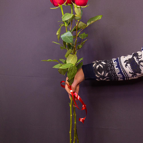 Букет цветов Эльбрус - Фото 1