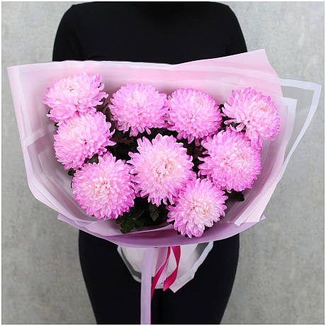 Хризантема Ребонет - Фото 1