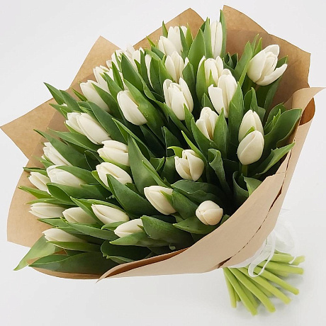 Букет 35 белых тюльпанов - Фото 1