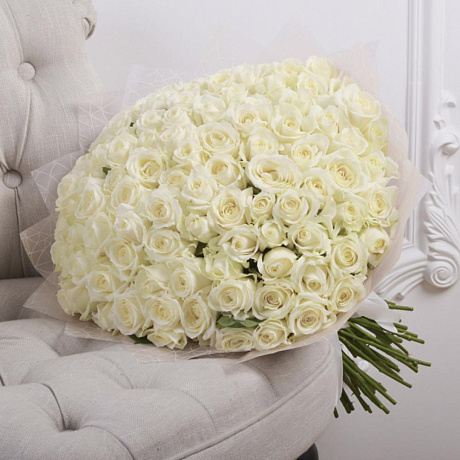Букет из 101 белой розы (Premium 50см) - Фото 1