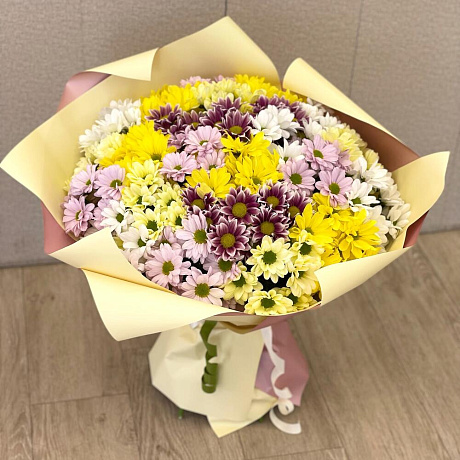 Букет из 25 кустовых хризантема - Фото 1