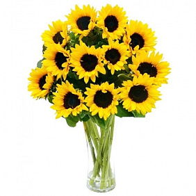 Букет из 15 подсолнухов №160