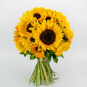 25 подсолнухов