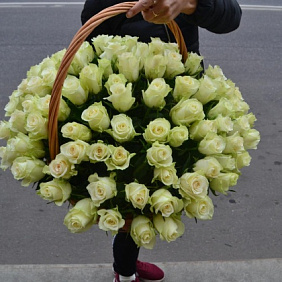 101 роза в корзине №161