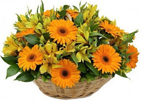 Герберы и альстромерии в корзине