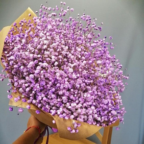 Букет "Гипсофила Радужная" №188